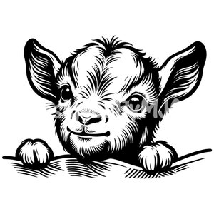 May include: A black and white illustration of a baby goat peeking out from behind a textured surface. The goat has a cute, innocent expression and is looking directly at the viewer.