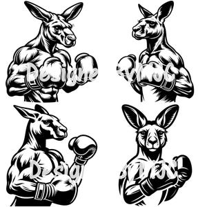 Boxeo canguro SVG, canguro SVG, mascota de boxeo Svg, boxeador, boxeo, clipart de canguro, boxeador canguro svg