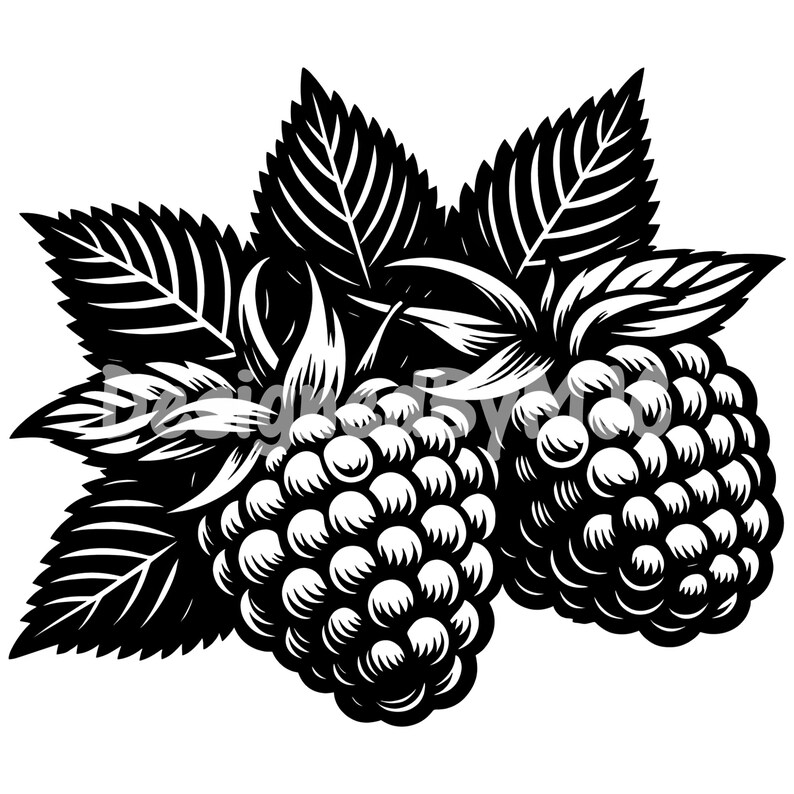 Black Raspberry Svg Raspberry SVG Bundle & PNG Files, Raspberry Fruit Clipart, Raspberry ...