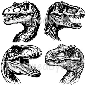 Dinosaur SVG Clipart & PNG Files, T-rex Graphics, Digital Clip Art, Cut ...