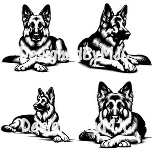 Puede incluir: Cuatro ilustraciones en blanco y negro de perros pastores alemanes en varias poses. Cada perro está acostado con la cabeza girada hacia un lado.