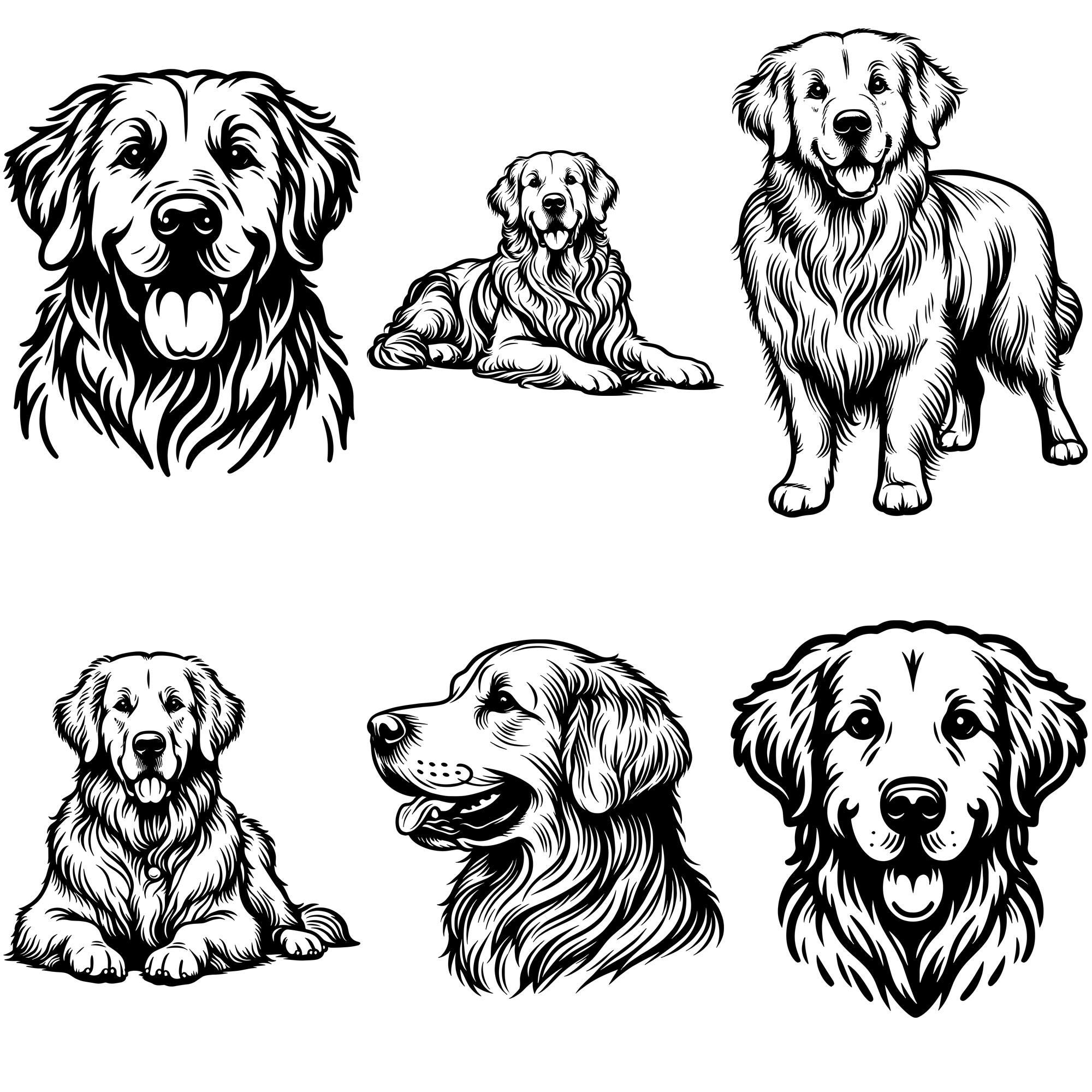 Golden Retriever SVG PNG Bundle | Hand-drawn Dog Graphics, Golden ...