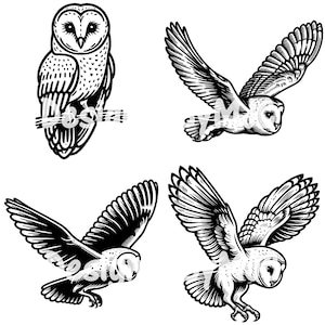 Schleiereule SVG PNG, Vogel Clipart, fliegende Eule Silhouette Vektorbild, Eule fliegen svg