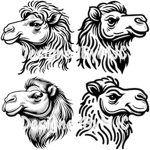 Pacchetto SVG cammello PNG Files, cammello del deserto svg, pacchetto vettoriale cammello, clipart cammello, testa di cammello, file di taglio cammello