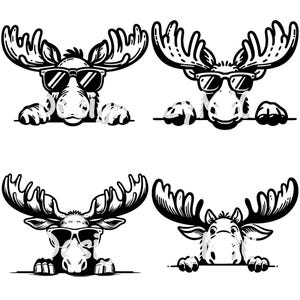 Peeking Moose SVG Bundle PNG Files, Moose Wearing Sunglasses svg, Peeking Animal Svg, Moose Svg, Moose Clipart