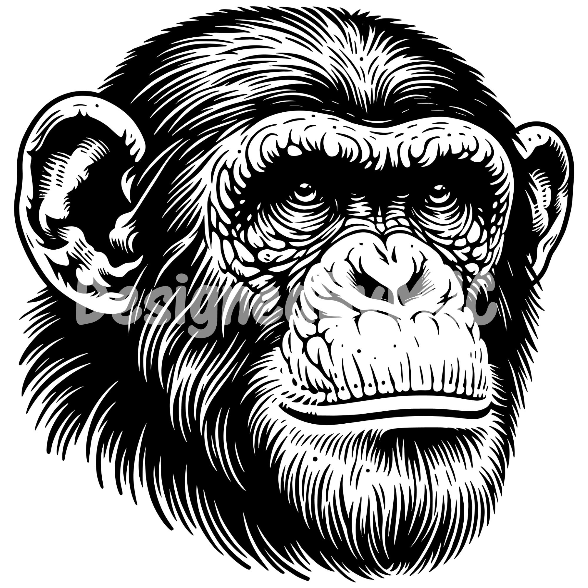 Chimpanzee SVG PNG Bundle, Chimpanzee Face Svg, Chimp Png, Chimpanzee ...
