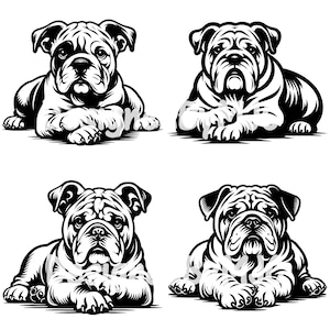 Bulldog leggen gekruiste poten SVG clipart png-bestanden, Bulldog vector gesneden bestanden, Bulldog png sublimatie