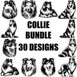 Collie Dog SVG Bundle, Collie Clipart PNG, Dog Lover Cut Files, Collie Silhouette Designs, Cricut, Collie Vector Art, Pet Decals