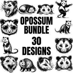 Bundle SVG opossum, conception d'été de fille sauvage, tête d'opossum Svg, clipart opossum, peeking opossum, opossum danse
