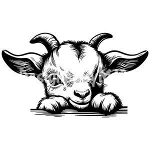 May include: A black and white illustration of a baby goat peeking over a surface. The goat has a sweet expression and is looking directly at the viewer.