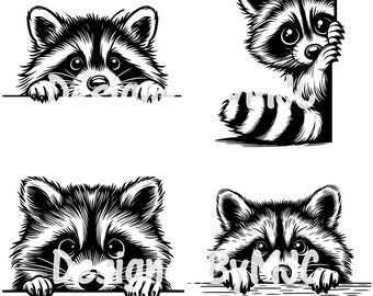 Peeking Raccoon SVG Bundle PNG Files, Raccoon svg, Peeking Animal Svg, Wildlife Svg, Rodent Clipart