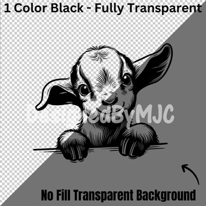 May include: Black and white illustration of a baby goat peeking over a surface. The goat has large ears and a cute expression.