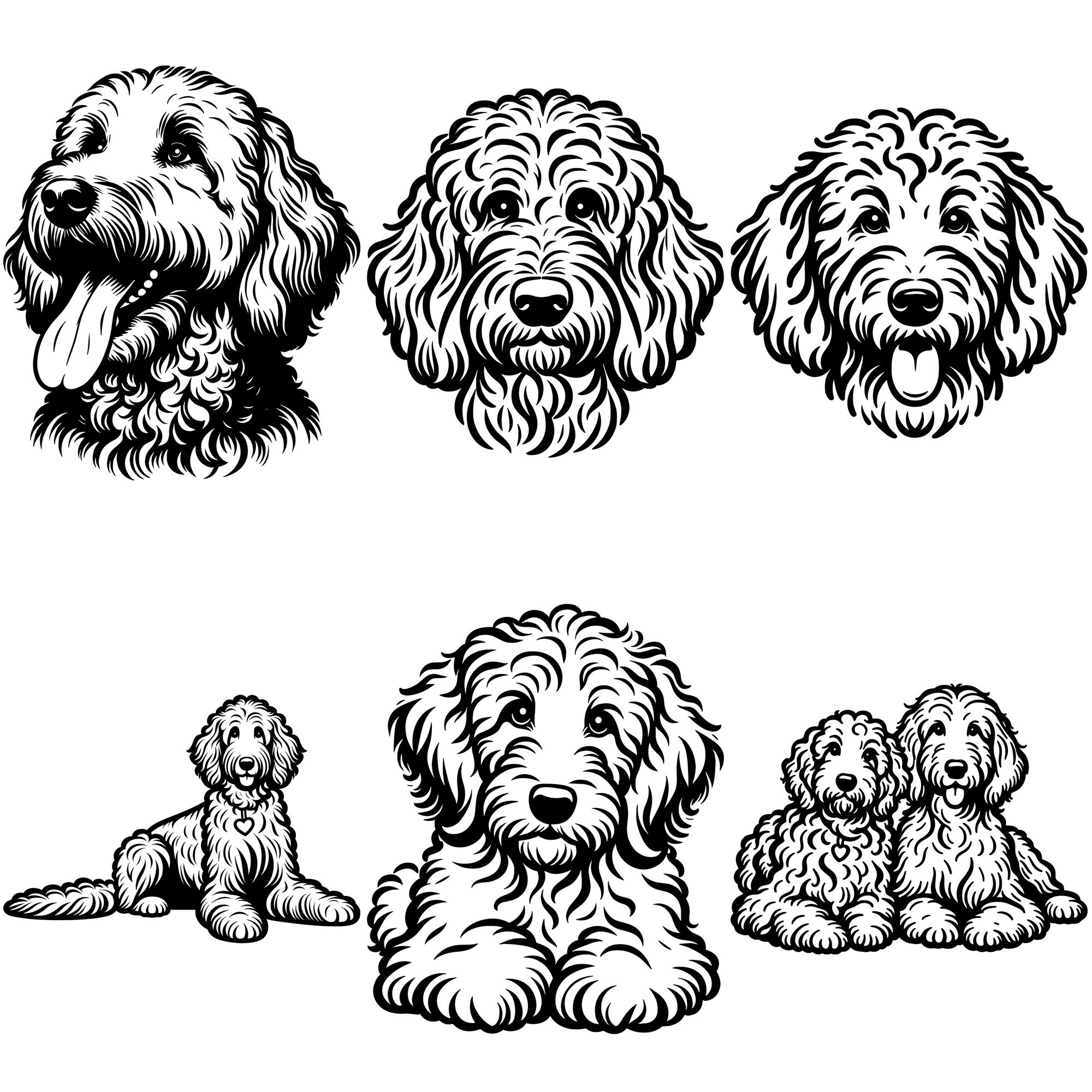 Goldendoodle SVG PNG Bundle, Dog Lover Clipart, Golden Doodle Vector ...