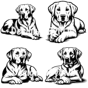 ラブラドール レトリバー犬が足を組んで横たわっている SVG クリップアート PNG ファイル、ラブラドール レトリバー ベクター カット ファイル、ラブラドール レトリバー png 昇華