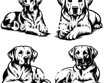 Labrador Retriever Dog Laying Crossed Paws SVG Clipart PNG Files, Labrador Retriever Vector Cut Files, Labrador Retriever png Sublimation