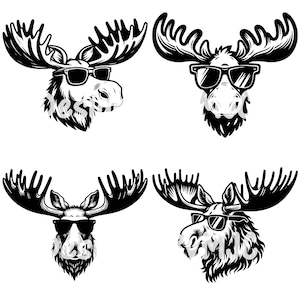 Moose Wearing Sunglasses SVG Moose With Glasses PNG Moose With Glasses Clipart Moose Vector Bundle