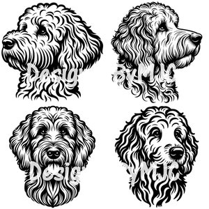 Goldendoodle SVG Clipart PNG-Dateien, Goldendoodle Kopf Vektorschnittdateien, Goldendoodle PNG Sublimation