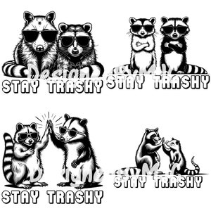 Restez trash PNG SVG, raton laveur drôle Svg Png Snarky raton laveur coupe fichiers impertinent rétro sublimation, raton laveur & Opossum Stay trash svg
