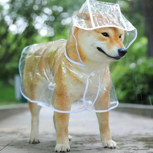 Puppy Clear Rain Coat | Big and Small Dogs