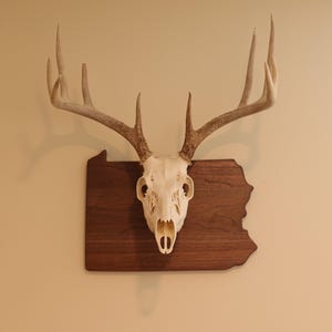 European State Mount Plaque - Pick Your State