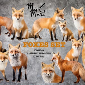 Niedliches Fuchs-Clipart-Bundle - Set 12 hochwertige PNG-Bilder, transparente Fuchs-Illustrationen zum Herunterladen, kommerzielle Nutzung