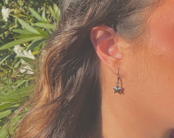 シルバーとゴールドのスター レバーバック イヤリング | シルバー スター レバーバック イヤリング | ゴールド スター レバーバック イヤリング | スター イヤリング | レバーバック イヤリング