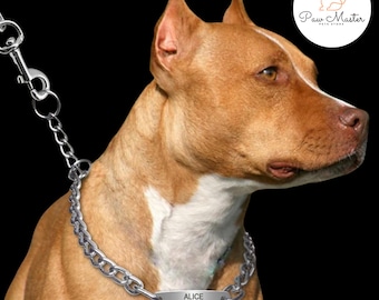 Gepersonaliseerde halsband met ketting – Cubaanse naamhalsband voor huisdieren