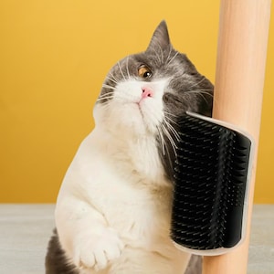 Cat Self Groomer Brush – Wall Mounted Pet Grooming Comb for Cats & Kittens