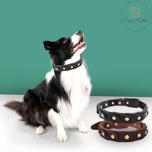 Studded Leather Dog Collar: Punk Style for Medium/Large Breeds