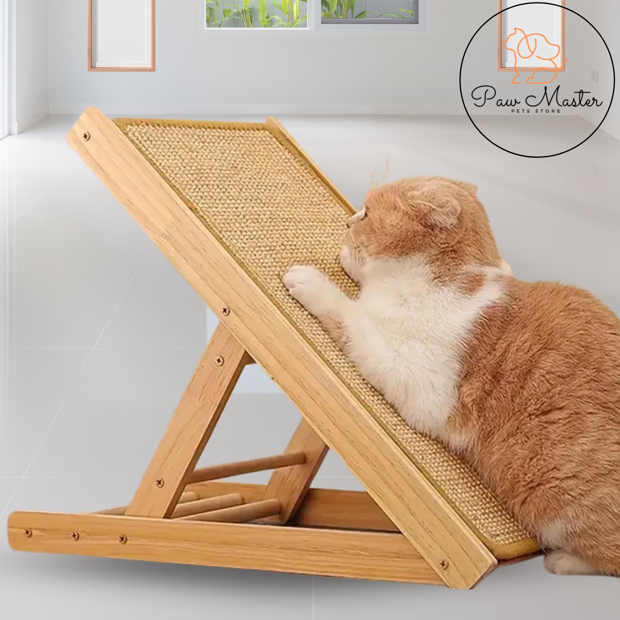 Gimnasio Para Gatos Casero Gatos Casero Gimnasio Para Gatos
