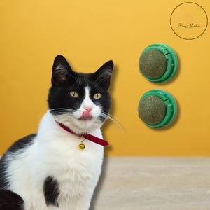 Catnip Cat Wall Ball Toy: Natural Digestion & Stress Relief