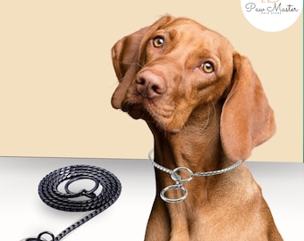 Roestvrijstalen halsband met slangenketting voor honden, sliptrainingchoker en hondenshowketting
