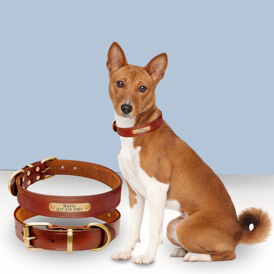 Personalized Dog Collar |custom Engraved |PU Leather Dog Collars - Etsy
