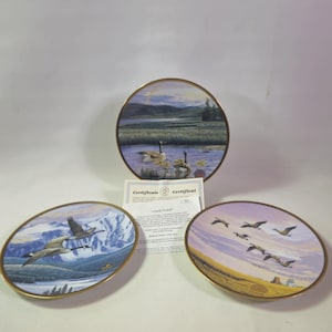 Op de afbeelding: Set van drie decoratieve borden met een ganzenfamilie in verschillende omgevingen. De borden hebben een gouden rand en zijn in uitstekende staat.