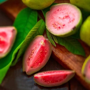strawberry guava tree Grafted In Pot