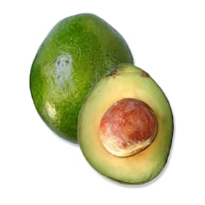 Monroe Avocado Tree From 2 to 4 feet tall. Ship to CA&PR. Real photos