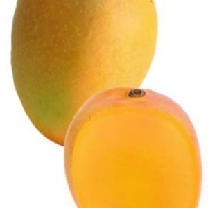 Diamond Mango TREE GRAFTED cold hardy (2-4 Feet Tall). Ship to all states