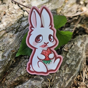 Adesivo coniglietto fragola / Adesivo coniglio meme carino e divertente / Adesivo fustellato in vinile lucido per bottiglia d'acqua, laptop, telefono o diario