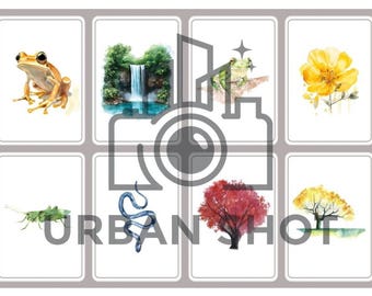 Druckknopfkarten mit Wald- und Tiermotiven