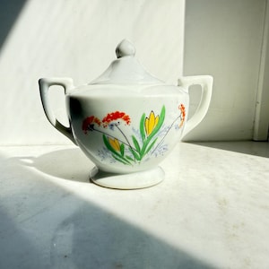 Vintage Boho floral handled sugar bowl