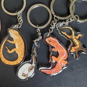 Puede incluir: Cuatro llaveros con diferentes diseños de reptiles. Los llaveros representan un dragón barbudo, un gecko y dos tipos de lagartos diferentes. Los llaveros están hechos de acrílico transparente y tienen anillos de metal plateado.