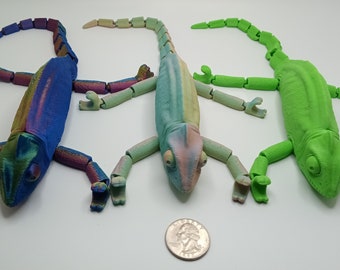Chameleon Fidget Toy