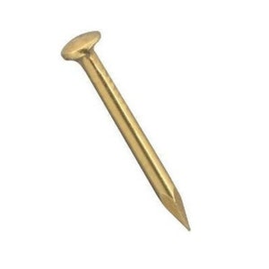 May include: A single brass nail with a rounded head and a pointed tip. The nail is angled diagonally against a white background. The nail is a warm gold color.