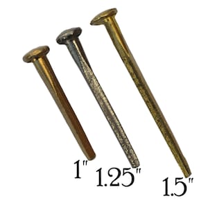 May include: Three metal nails of different lengths, 1 inch, 1.25 inches, and 1.5 inches. The nails are all silver in color and have a rounded head.