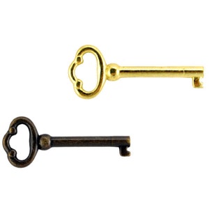 May include: Two decorative keys. One is gold-colored, the other is bronze. Both keys have a decorative, ornate handle and a simple, rectangular key bit. The keys are likely for decorative purposes.
