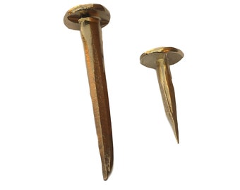 Peut inclure: Deux pointes en laiton, l'une plus grande que l'autre, avec des têtes rondes plates et des pointes pointues.