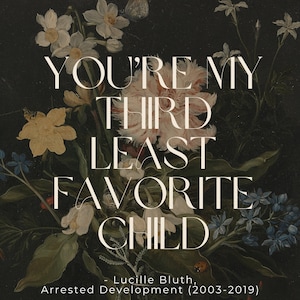 Puede incluir: Una pintura de estilo vintage de un ramo de flores en un jarrón. Las flores son en tonos de blanco, amarillo, azul y rosa. El texto "YOU'RE MY THIRD LEAST FAVORITE CHILD - Lucille Bluth, Arrested Development (2003-2019)" está superpuesto a la imagen.