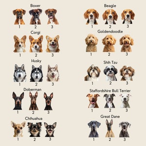 May include: A collage of 30 dog breed images, each breed is represented by 3 different dogs. The breeds are Boxer, Corgi, Beagle, Goldendoodle, Husky, Shih Tzu, Doberman, Staffordshire Bull Terrier, Chihuahua, and Great Dane.