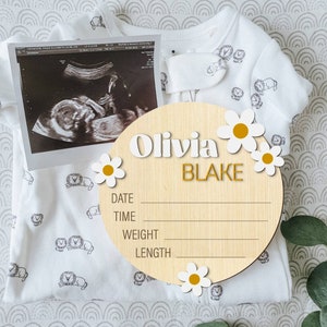 Personalized Baby Name Sign, Baby Announcement Sign with Birth Stats, Daisy Baby Name Sign, Birth Announcement, Cute Custom Name Sign Baby