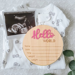 Personalized Baby Name Stats Sign, Baby Announcement Sign with Birth Stats, Baby Arrival Sign, Baby Name Announcement Sign, Newborn Keepsake